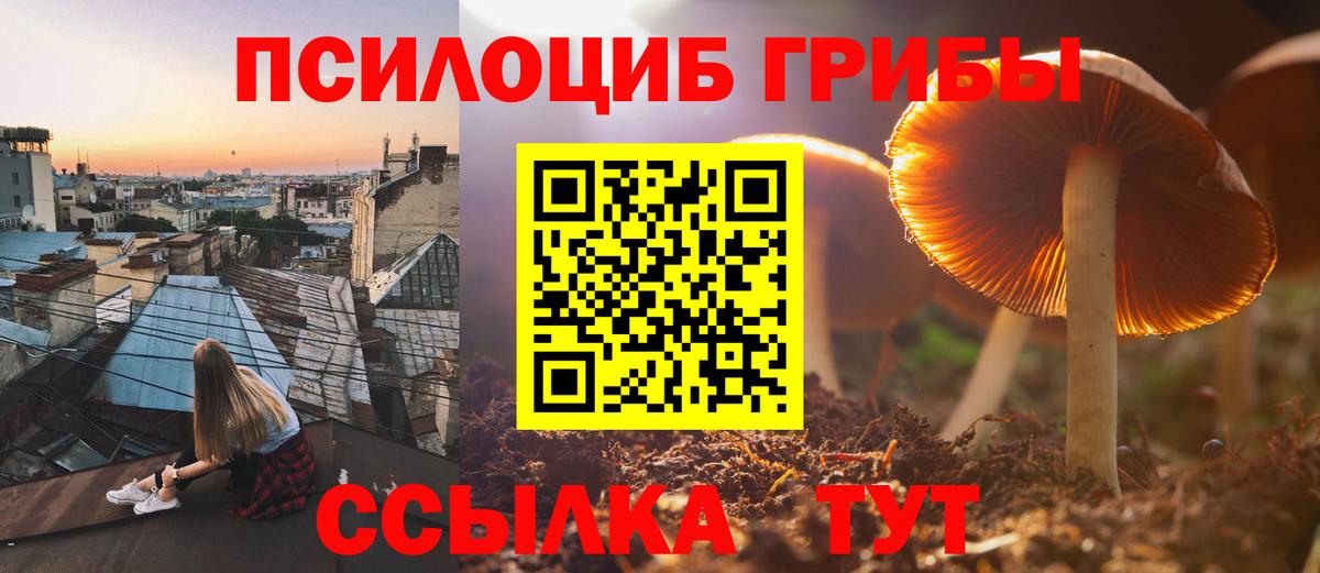 Галлюциногенные грибы мицелий Луховицы